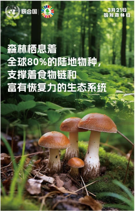 做法和经验。.png 做法和经验。.png