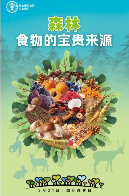 目前,我国有34亿多亩森林、80.png 目前,我国有34亿多亩森林、80.png