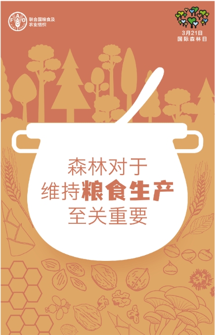 森林食物是指森林或林地生产的食物.png 森林食物是指森林或林地生产的食物.png