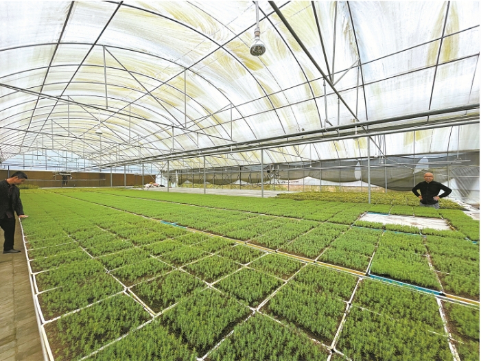 大足区保障性苗圃.png 大足区保障性苗圃.png