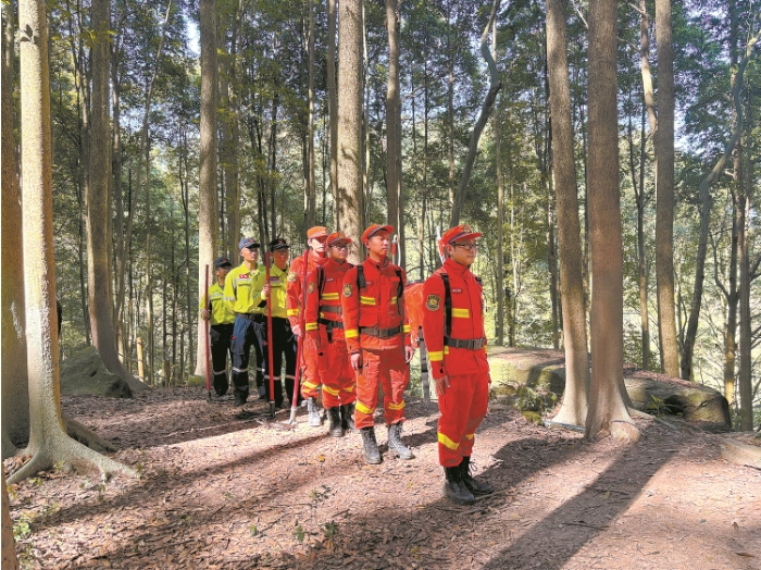 参与联合巡林的国有林场.png