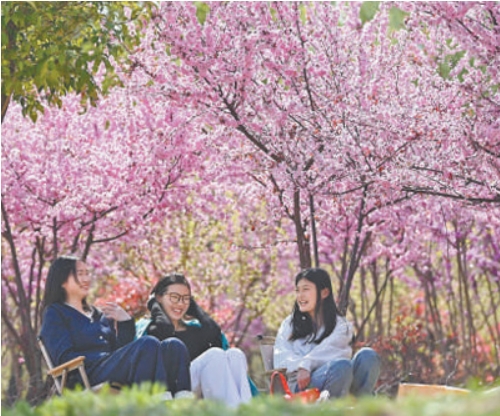 4月6日，游客在山东省滕州市上善.png