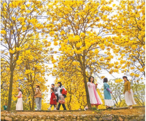 4月5日，游客2222.png
