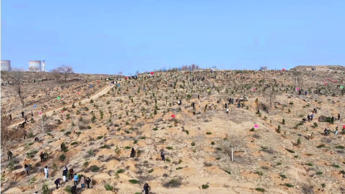 榆林市植树现场。.png