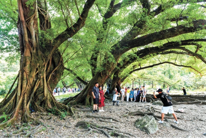 游客在福建省宁德市霞浦.png