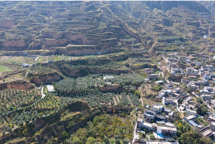 这是甘肃省陇南市武都区拍摄.png 这是甘肃省陇南市武都区拍摄.png