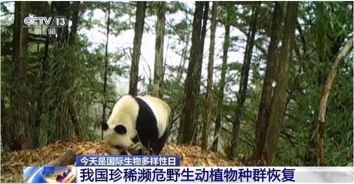 三江源国家公园生物多样性持续丰富.png