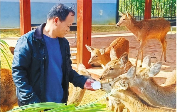 广西良凤江国家森林公园饲.png