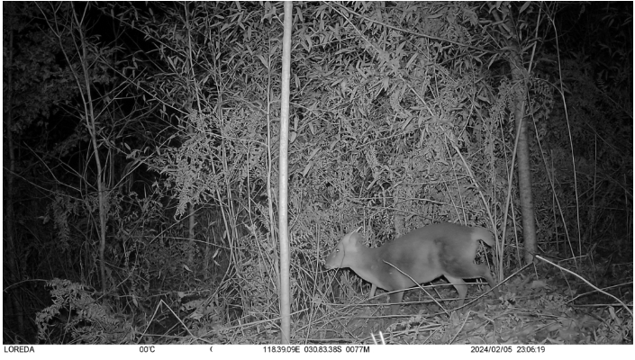 这片土地,.png 这片土地,.png