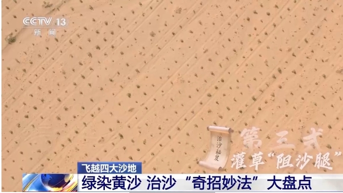 植梭梭、柠条等灌草为障.png