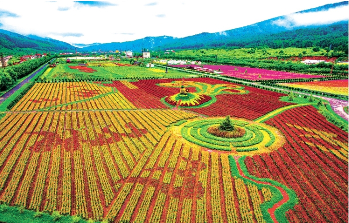 朗乡花海.png 朗乡花海.png