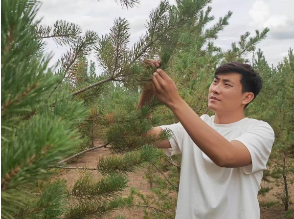 石健阳.png 石健阳.png