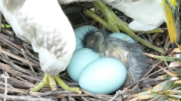 7月6日清晨,经过.png 7月6日清晨,经过.png