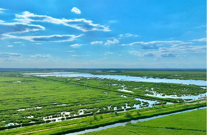 南大港湿地风景。111.png