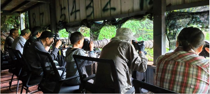 7月21日,.png 7月21日,.png