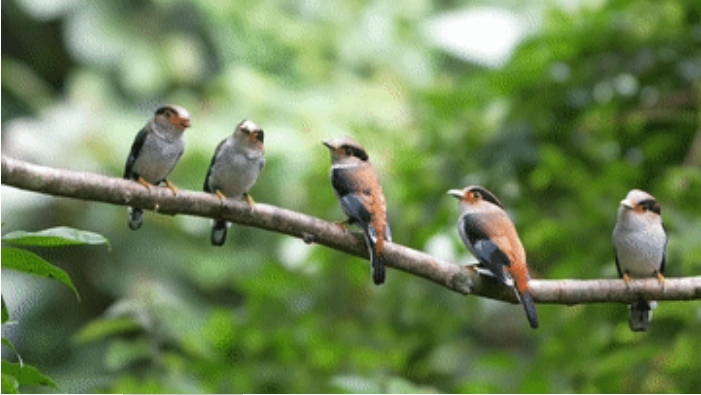 7月16日,在么等.png 7月16日,在么等.png