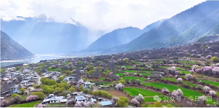 雅鲁藏布大峡谷的景色.png 雅鲁藏布大峡谷的景色.png