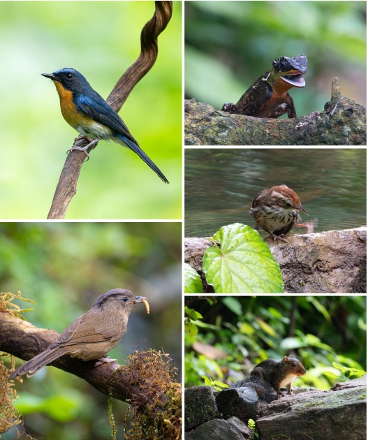 这是6月18日在么.png 这是6月18日在么.png