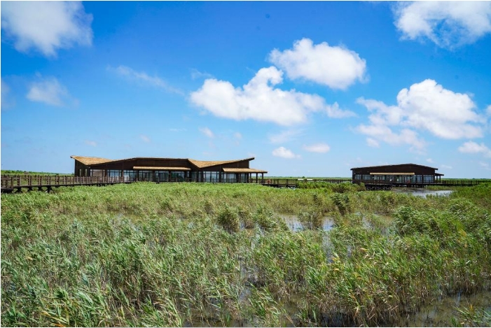 上海市崇明东滩自然保护区科普教育基地。.png