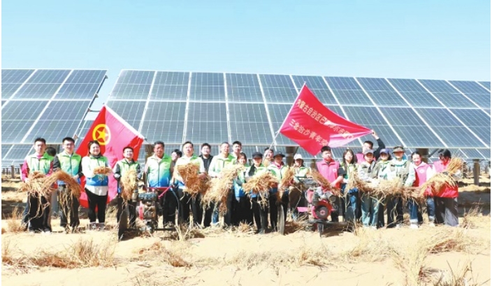 磴口县三北治沙青年突击队在光伏.png
