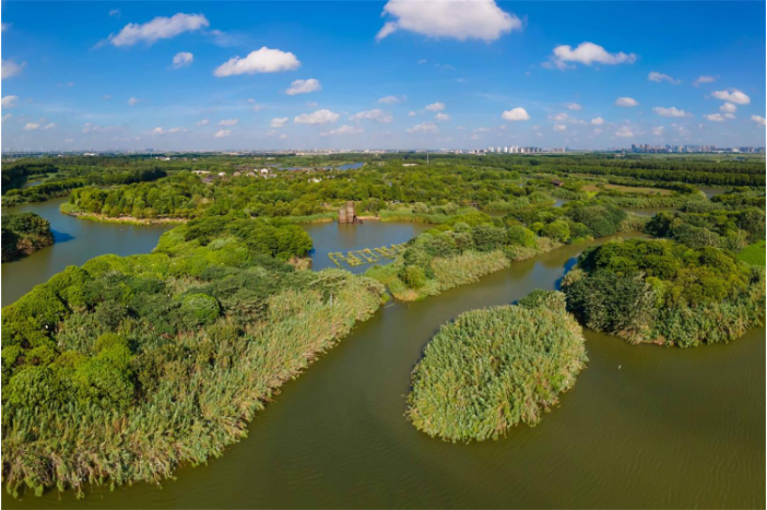 沙家浜湿地一泓碧水.png