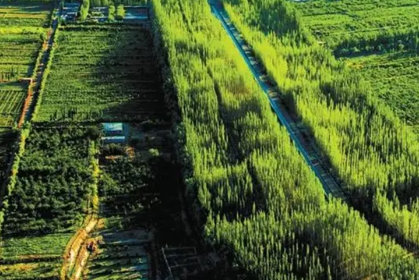 三北工程的556.png 三北工程的556.png