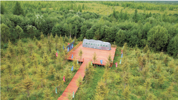 林业碳汇+生态司.png 林业碳汇+生态司.png