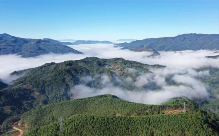 强化资源保护管理.png 强化资源保护管理.png