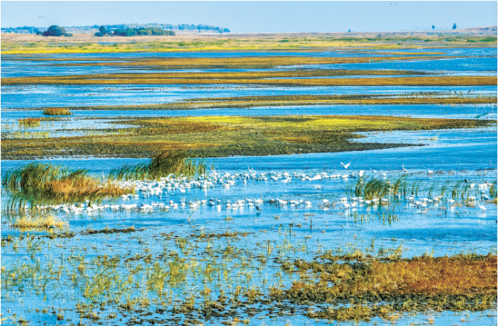 10月16日,吉林莫莫格国家级自.png 10月16日,吉林莫莫格国家级自.png