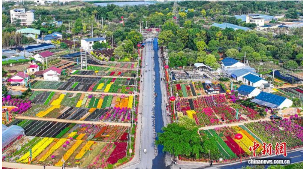 图为设在桂林市叠彩区“缤纷叠彩.png 图为设在桂林市叠彩区“缤纷叠彩.png