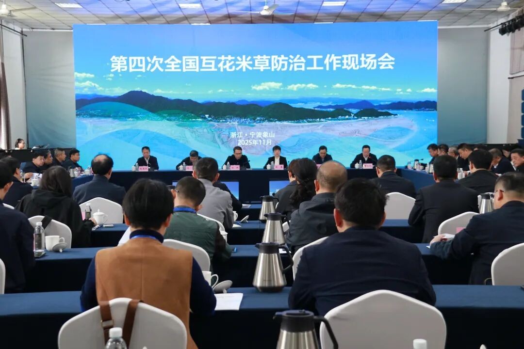 会议现场 (果叮.jpg 会议现场 (果叮.jpg