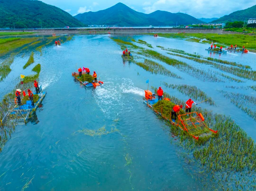 工作人员在宁波市象.jpg 工作人员在宁波市象.jpg