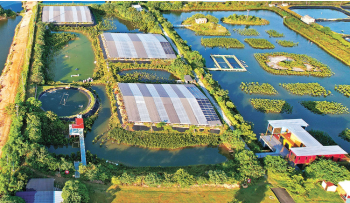 广西红树林研究中心原创并建.png 广西红树林研究中心原创并建.png