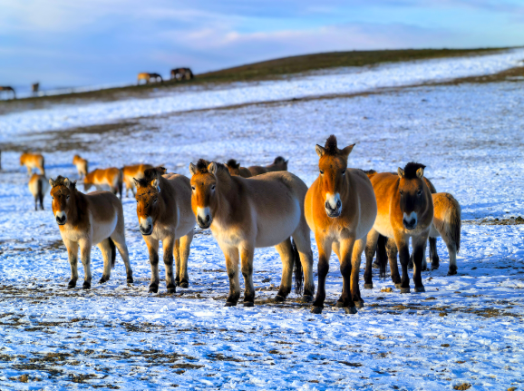 来源：中国环境APP 作者：杨涛利.png