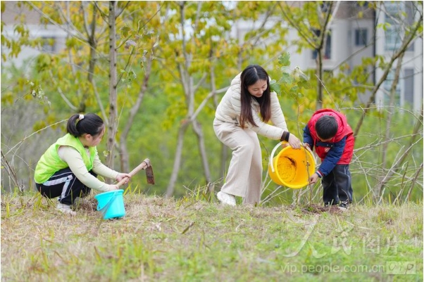 植树活动的图8.png
