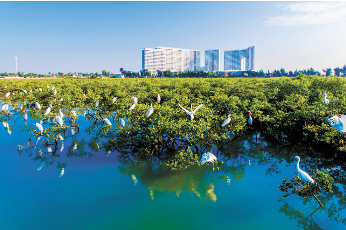 绿波翻滚、鸟儿栖.png 绿波翻滚、鸟儿栖.png