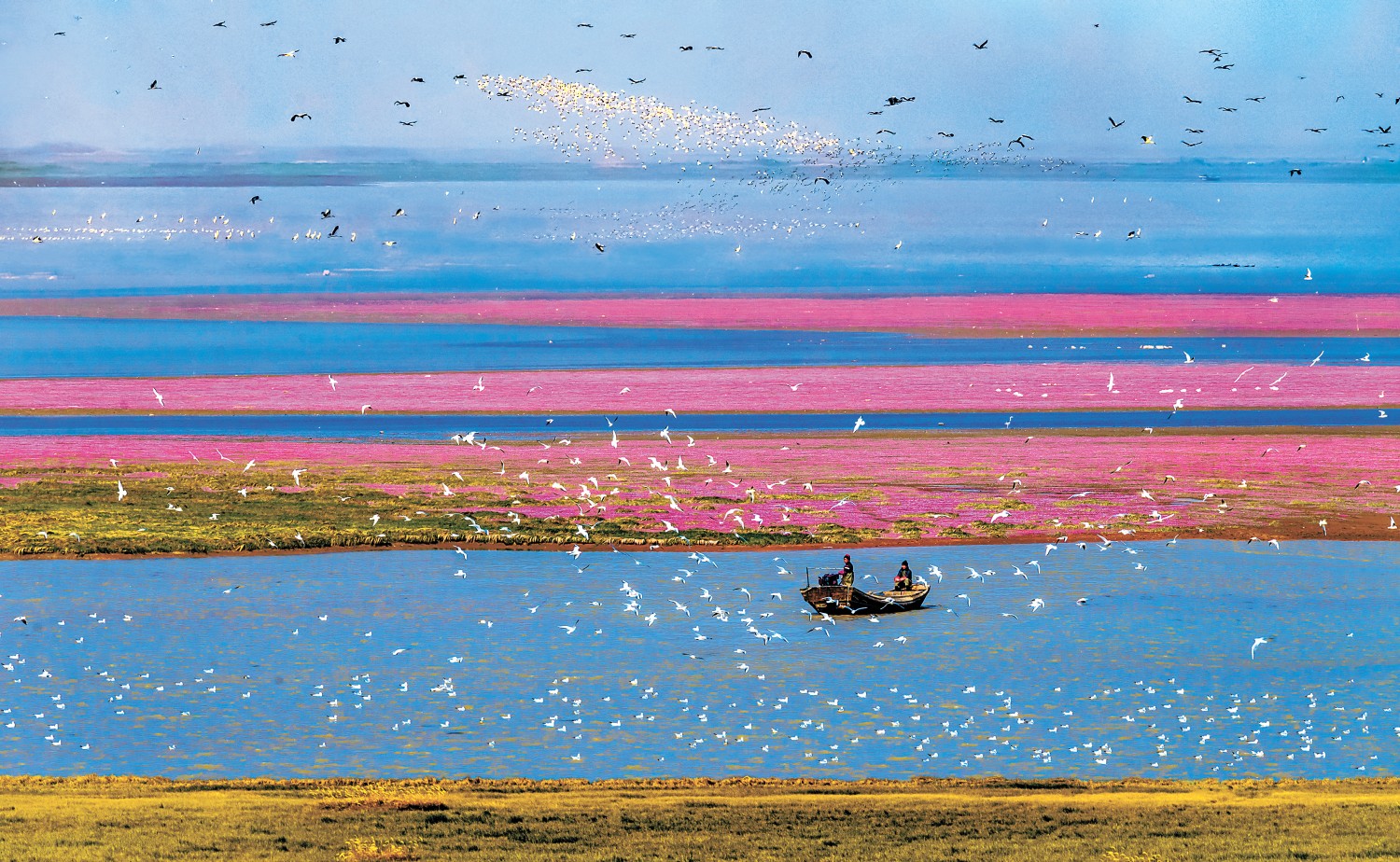 鄱阳湖区工作人员巡护。.jpg 鄱阳湖区工作人员巡护。.jpg