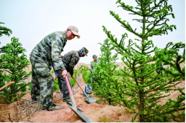 1234zhishu.png 1234zhishu.png