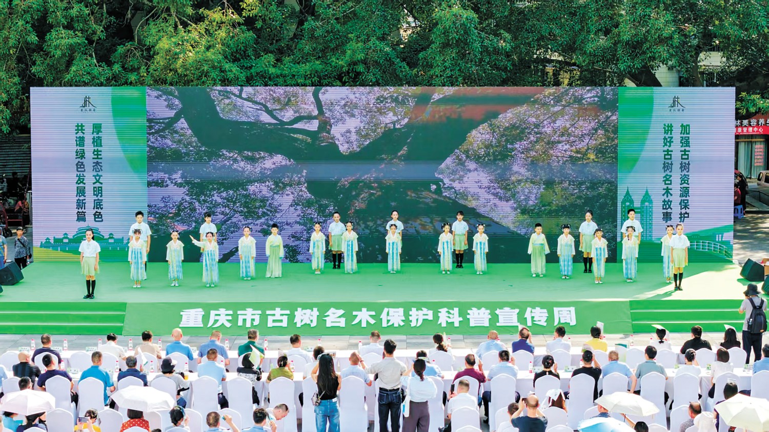 诗歌朗诵《古树赞礼》 重.jpg