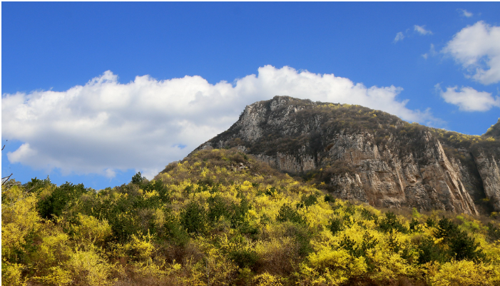 深化机制创新,促进规模经营.png 深化机制创新,促进规模经营.png