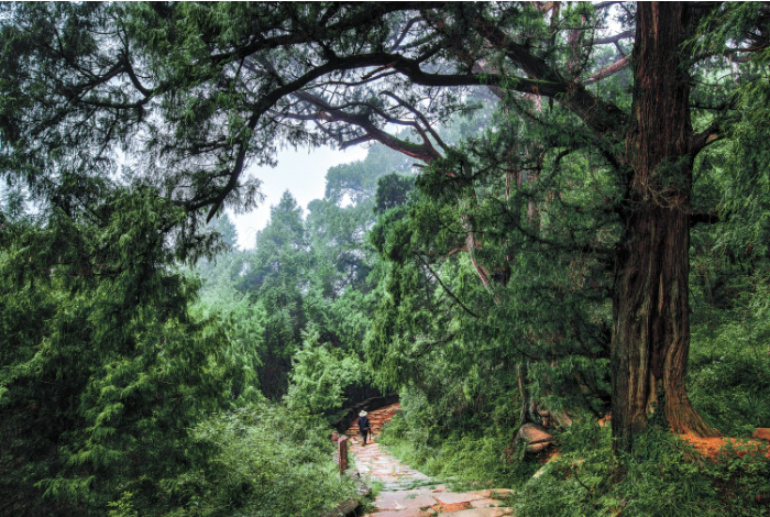 剑阁县凉山乡拦马墙 苟.png