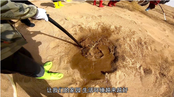 这场跨越千里的绿色奔赴,正在.png 这场跨越千里的绿色奔赴,正在.png