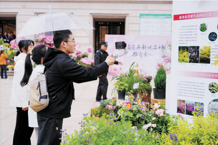 推介会现场 上海市绿化和市容管理局供图.png 推介会现场 上海市绿化和市容管理局供图.png