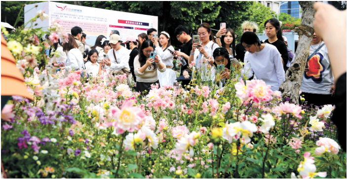 5月3日，湖北省武汉市沙湖公园20.png