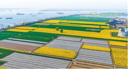 安徽省芜湖市繁昌区荻港镇.png